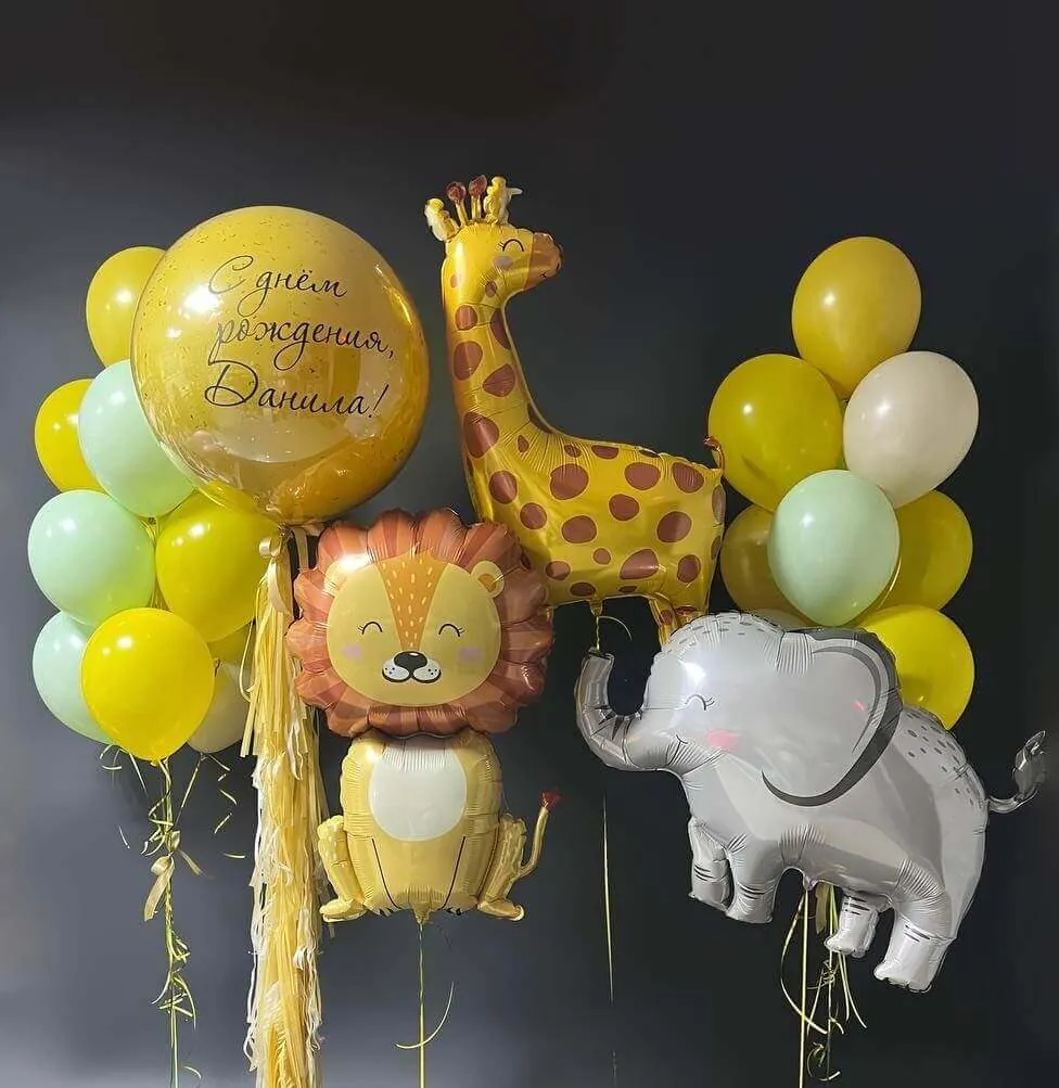 Воздушный шар - Комплект Сафари