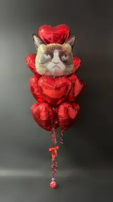 Сердитый, влюбленный кот Воздушный шар - Сердитый, влюбленный кот