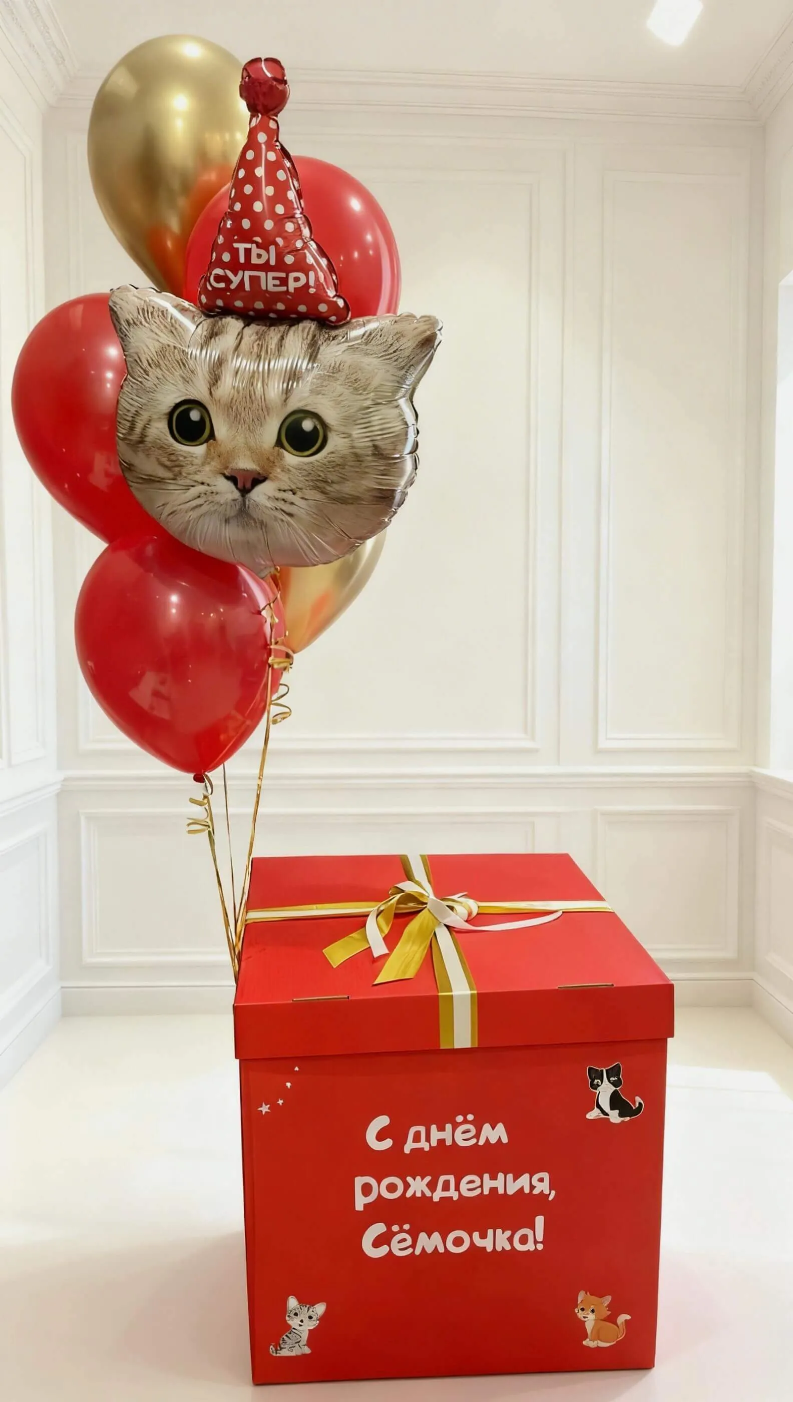 Воздушный шар - Коробка котики (красный)