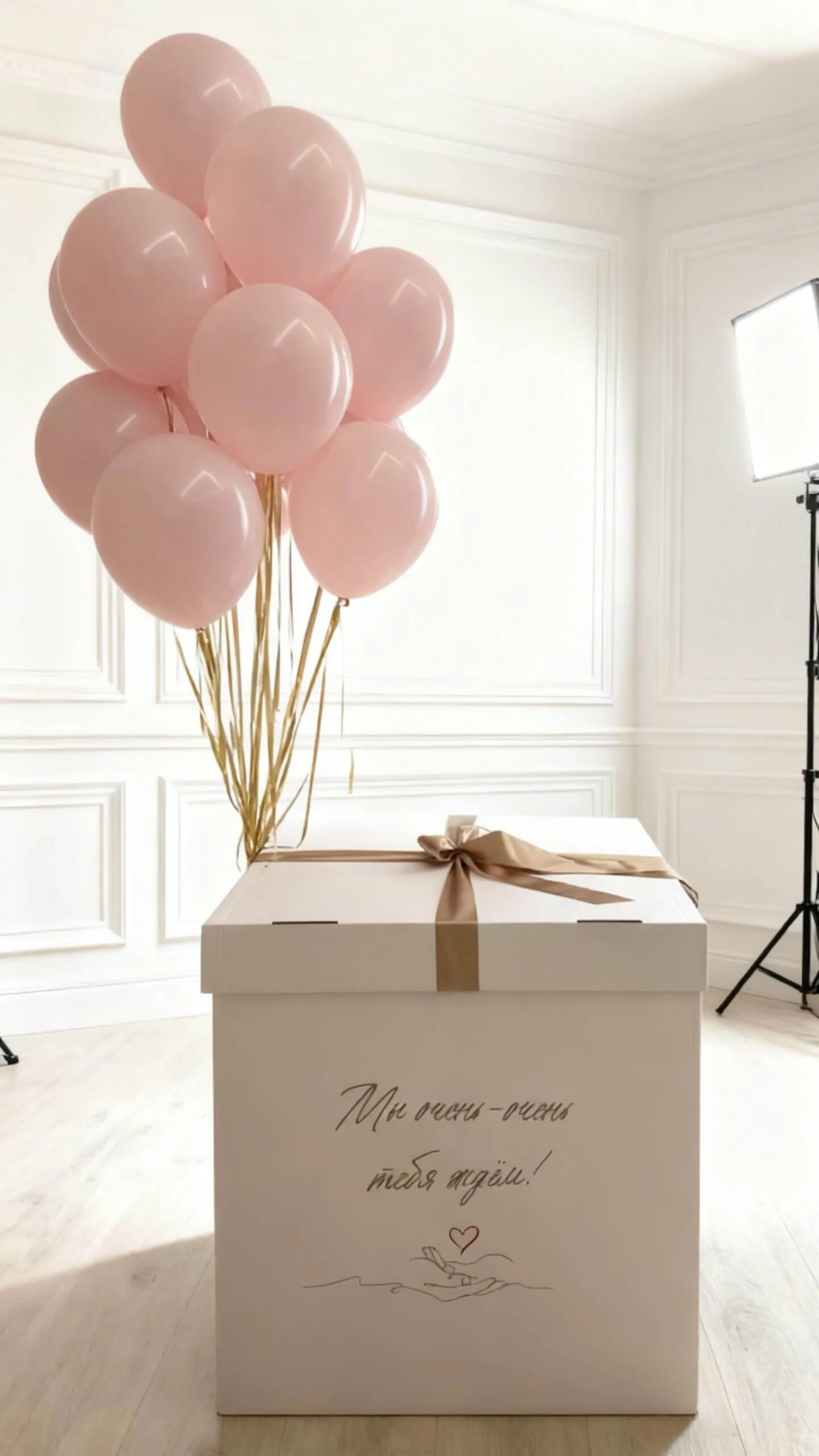 Воздушный шар - Коробка гендерная "Мы ждём"