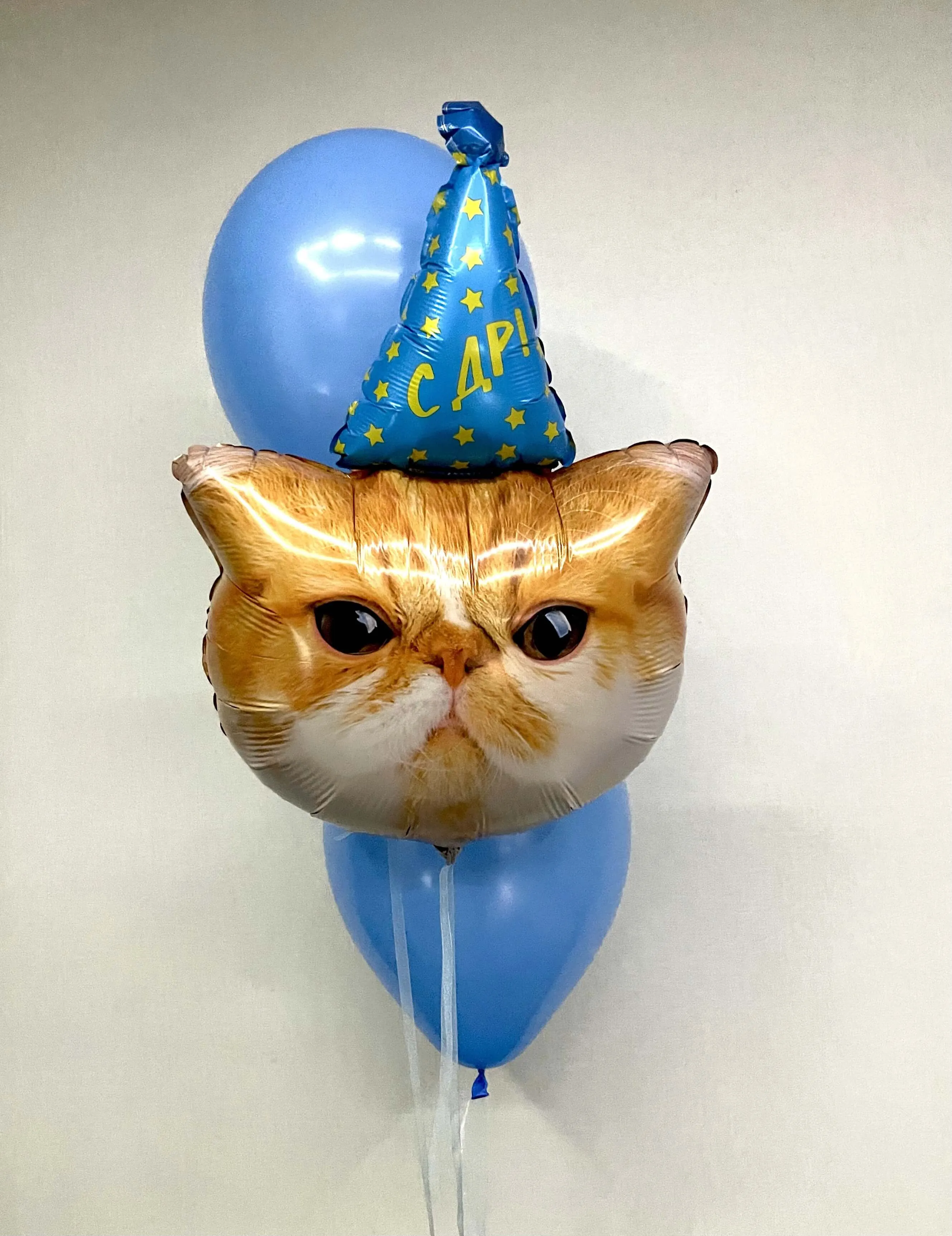 Воздушный шар - Связка с котом (голубой)