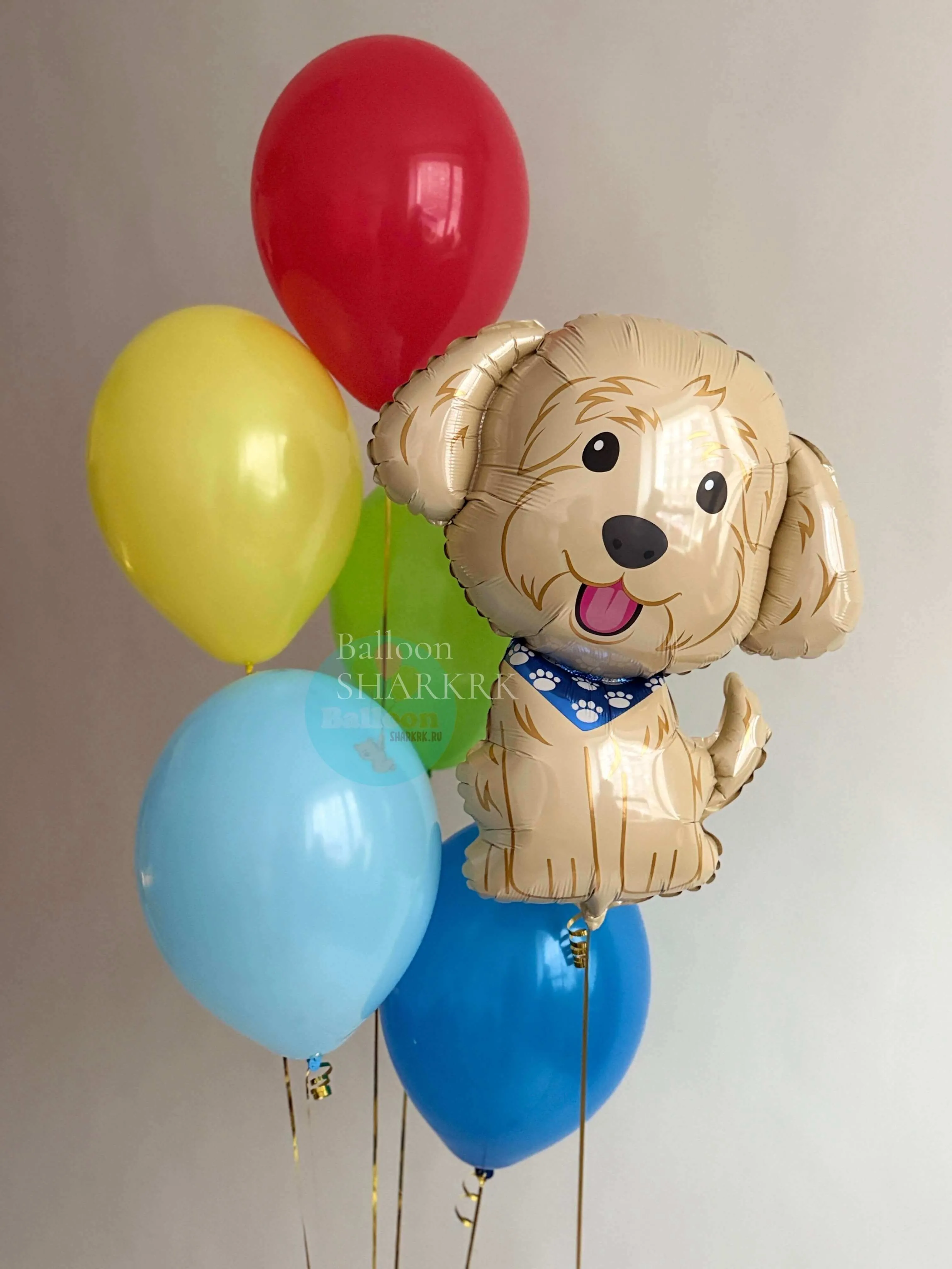 Воздушный шар - Пёсик и фонтан