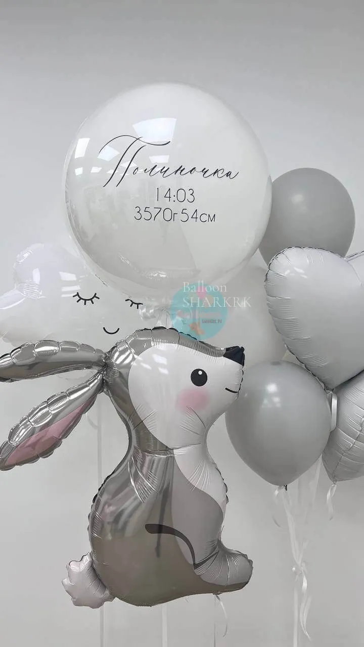 Воздушный шар - Выписка для Зайки