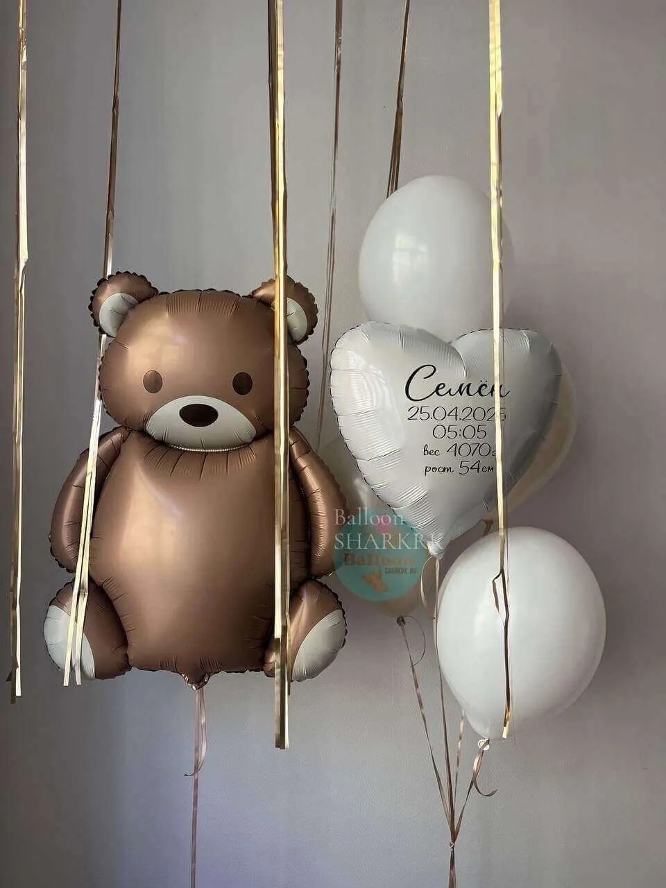 Воздушный шар - Выписка Барни