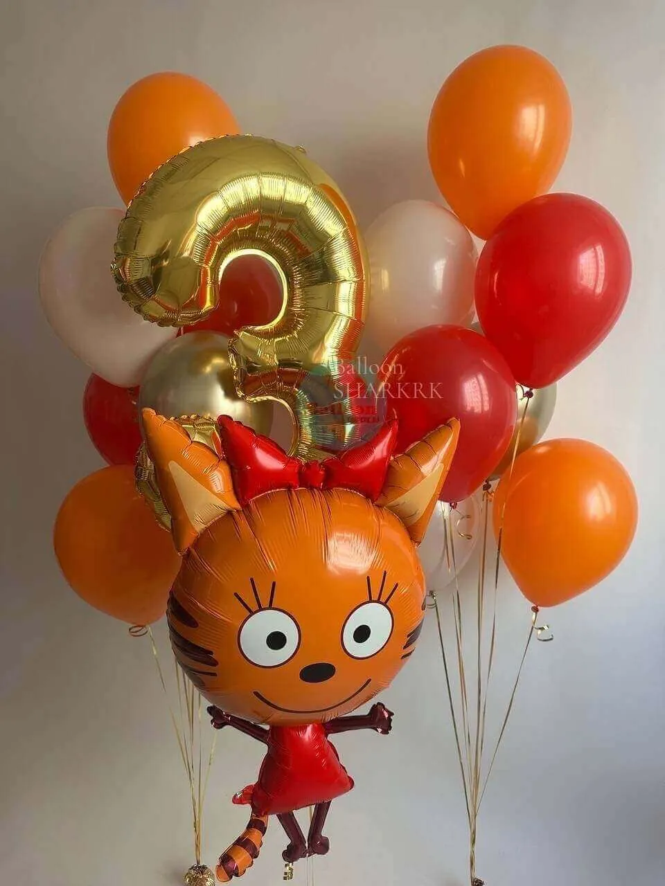 Воздушный шар - Карамелька Три кота, Два фонтана 