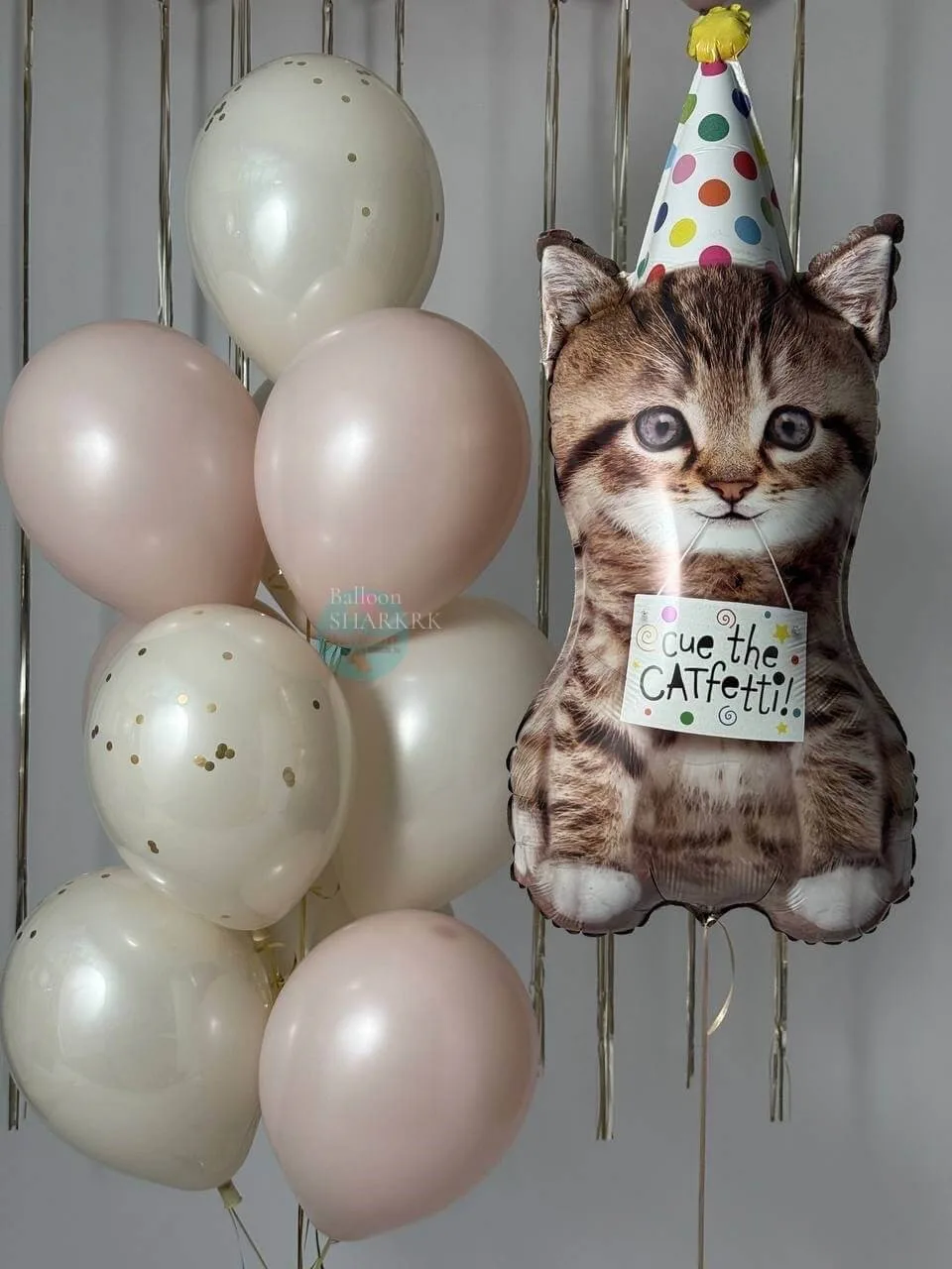 Котик в колпаке с шарами Праздничный котик в шапочке
