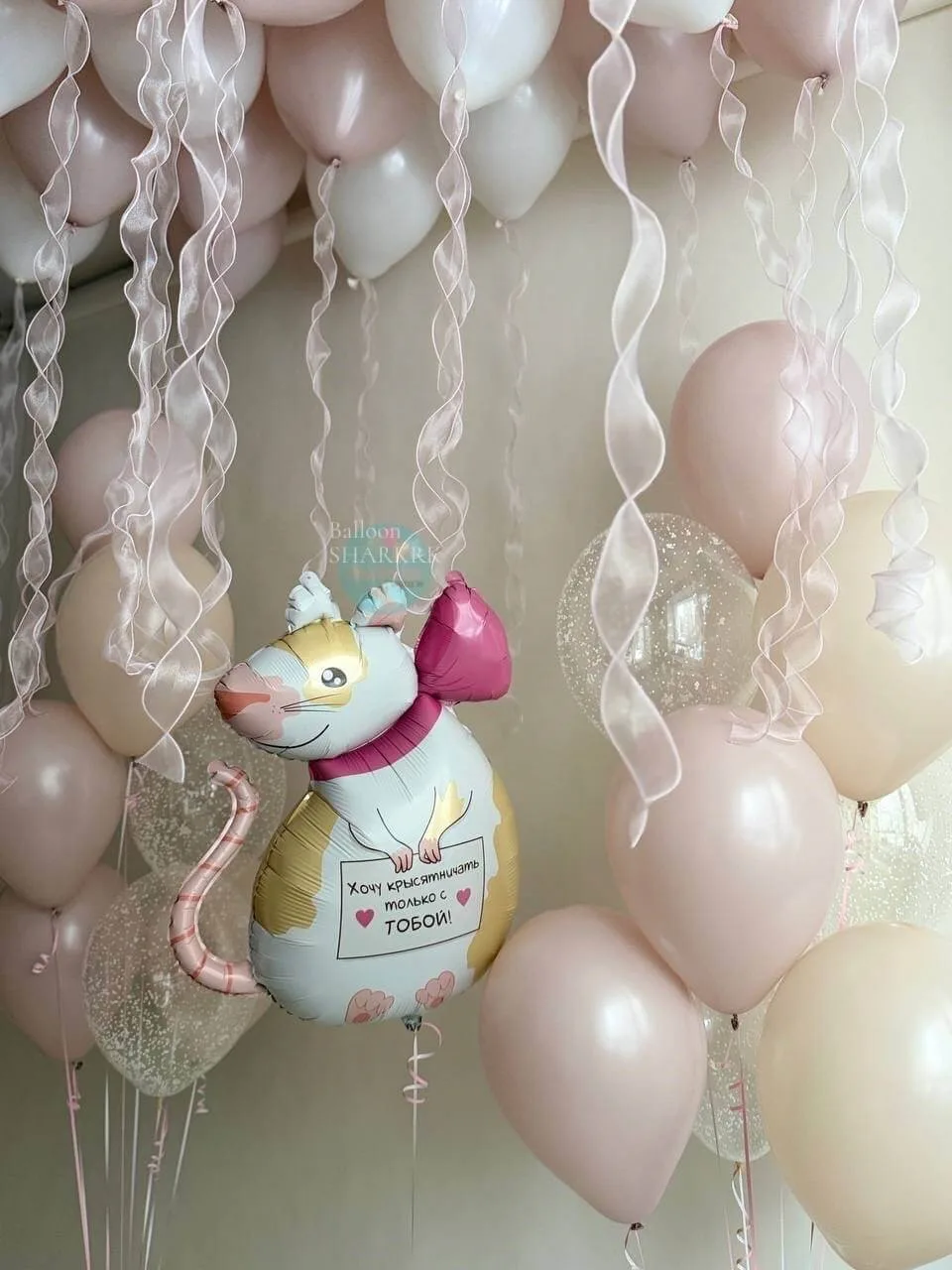 Шар-крыса «Хочу крысятничать только с тобой» в букете шаров.