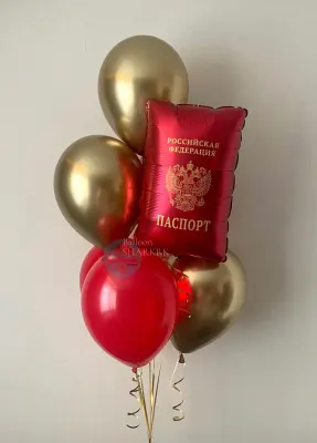 Получение паспорта Получение паспорта