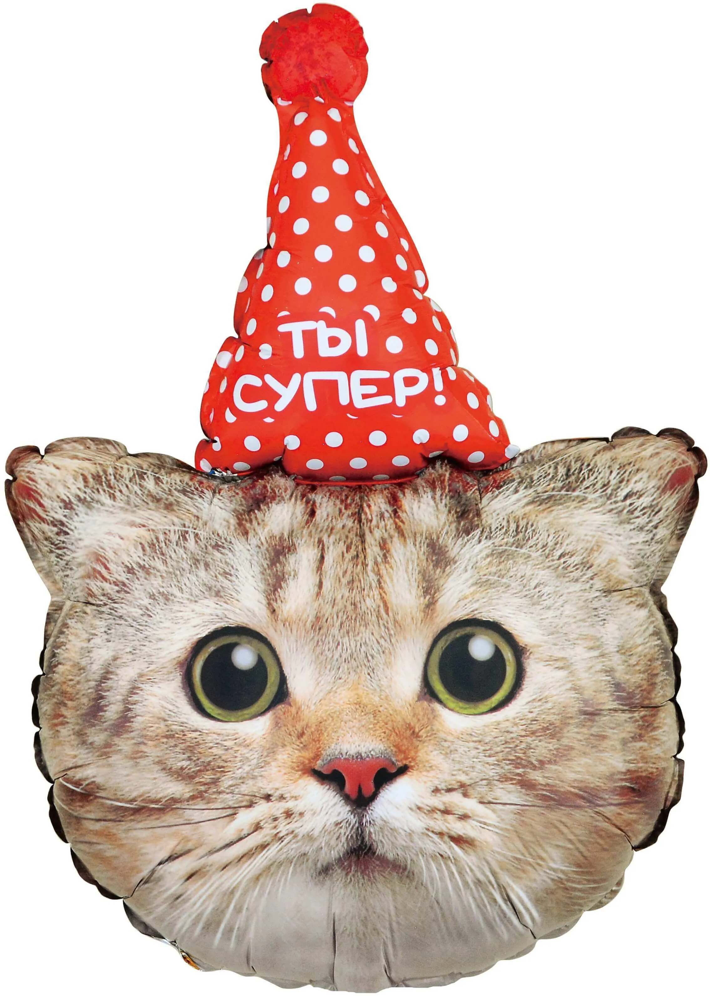 Воздушный шар - Фигура, Котенок в колпачке 32"/81 см