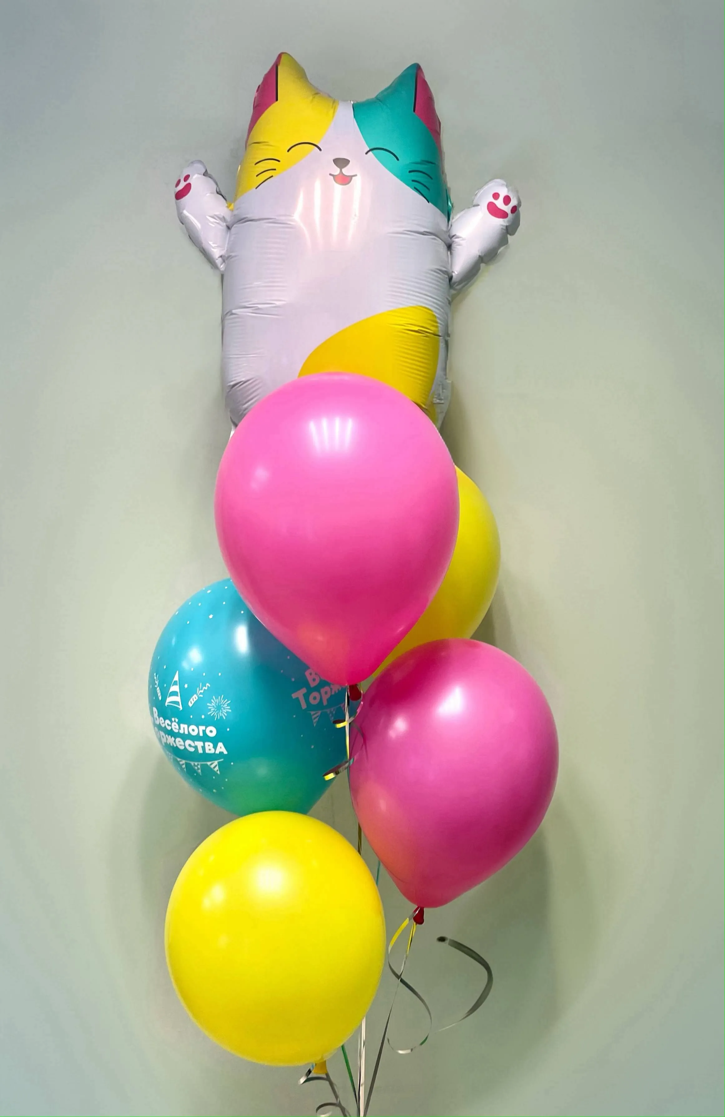 Воздушный шар - Фонтан котик - лапочка